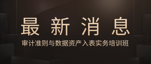 审计准则与数据资产入表实务培训班.png